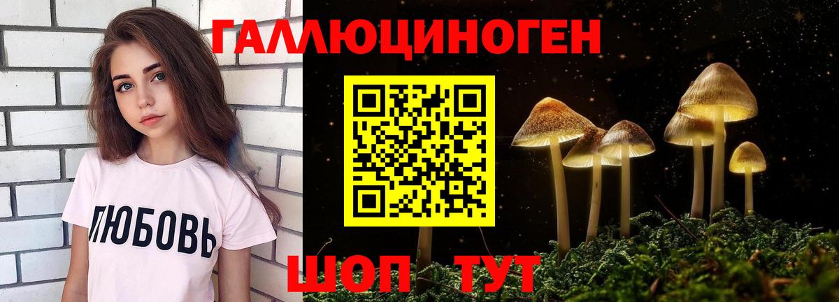 Псилоцибиновые грибы Psilocybine cubensis  Вход с VPN  Галлюциногенные грибы Cubensis  Димитровград 